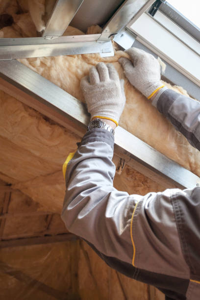 Best Residential Insulation in Montgomery Village, MD
