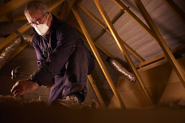Best Types of Insulation in Montgomery Village, MD